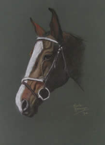 Horse 1