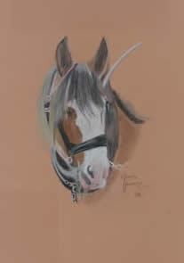 Horse 3