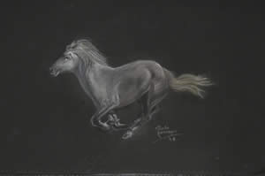 Horse Galloping