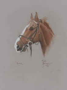 Horse Houdini